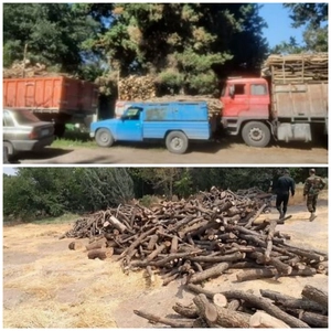 کشف ۳۰ تن چوب قاچاق در آمل؛ توقیف کامیون‌ها و نیسان
