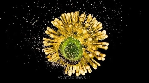 امید تازه برای بیماران مبتلا به HIV؛ داروی جدید VH-۴۹۹ اولین آزمایش انسانی را با موفقیت پشت سر گذاشت