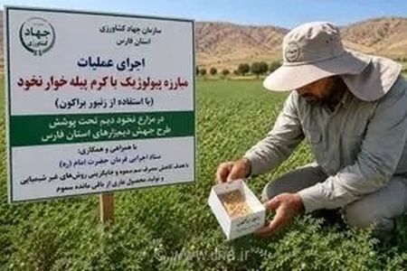 گام تازه فارس برای تولید محصول سالم با مبارزه بیولوژیک در دیمزارها