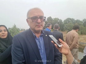 رقابت میگوی پرورشی مازندران با محصولات جهانی از نظر قیمت و کیفیت