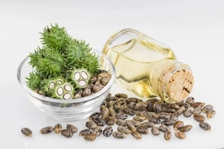 روغن کرچک برای مو؛ فواید و محدودیت‌های استفاده