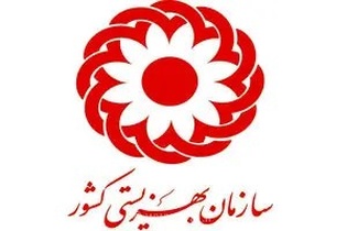 رشد ۱۰۰ درصدی مستمری لوازم بهداشتی معلولان؛ ارائه ۱۷۰ خدمت تخصصی توسط سازمان بهزیستی کشور