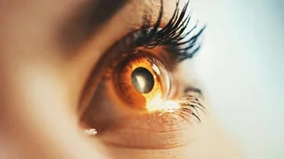کشف روشی برای ترمیم خودبه‌خودی شبکیه چشم در آزمایشگاه
