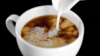 افزایش 40 درصدی کالری موجود در قهوه؛ عامل اصلی شیرهای غیر لبنی