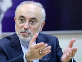 صالحی: جامعه‌ای که سؤال را جرم بداند، خلاق نیست
