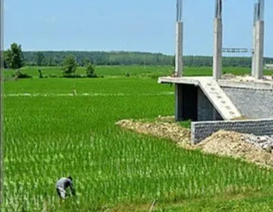 شناسایی بیش از ۱۳۰۰ مورد تغییر کاربری غیرمجاز در اراضی کشاورزی قزوین