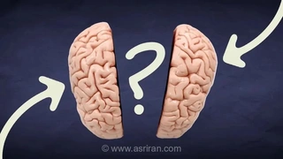 آیا مغز افراد منطقی با افراد احساسی متفاوت است؟ علم چه می‌گوید؟