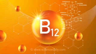 محققان راهکاری پایدار با اسپیرولینا برای رفع کمبود ویتامین B12 ارائه کردند