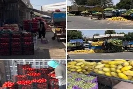 سایه سنگین رکود بر بازار میوه؛ وقتی فراوانی محصولات تابستانی هم حریف کاهش قدرت خرید مردم نمی‌شود