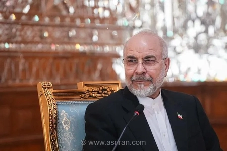 دیدار رئیس مجلس با مشاور امنیت ملی عراق در بغداد