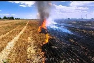 هشدار جدی دادستان مازندران: آتش‌زدن کاه و کلش در حاشیه جاده‌ها پیگرد قضایی و حبس در پی دارد