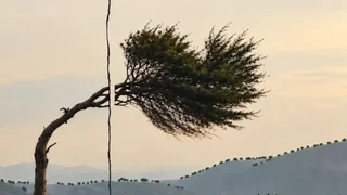 فیلم جدید کارگردان «شکل مومو» درباره اختلاف مرزی یک روستا