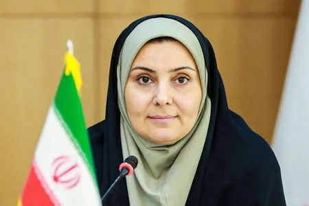 امیدواری وزیر راه برای بازگشایی مرز هوایی نجف