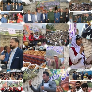 جشنواره گردو و عسل در سوادکوه برگزار شد/ تولید بیش از ۱۰۰۰ تن گردو