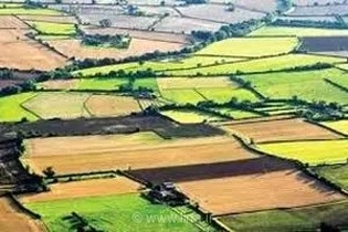 جلوگیری از تغییر کاربری بیش از  ۱۵ هزار  کیلومترمربع از اراضی حاصلخیز و باغی لرستان