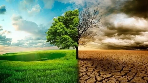 چرا دماوند هم از برف همیشگی محروم شده است؟ هشدار درباره تغییر اقلیم