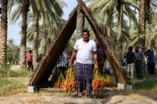 جشنواره آیینی «مغ و مشتا» هرمزگان در فهرست رویدادهای ملی گردشگری ایران ثبت شد