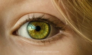 نقشه کامل چشم انسان؛ بررسی وظیفه و مکانیسم 15 جزء اصلی چشم (اینفوگرافیک)