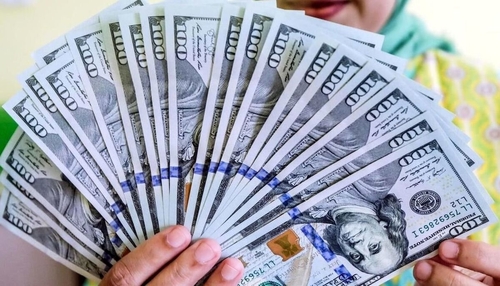 افزایش قیمت دلار ادامه دارد؛ عبور از مرز ۲۶۵ هزار تومان