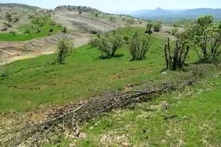 بازپس‌گیری ۱۸۸ هکتار از اراضی ملی گلستان؛ تشکیل ۳۳۱ پرونده قضایی برای متخلفان و متصرفان عرصه‌های طبیعی