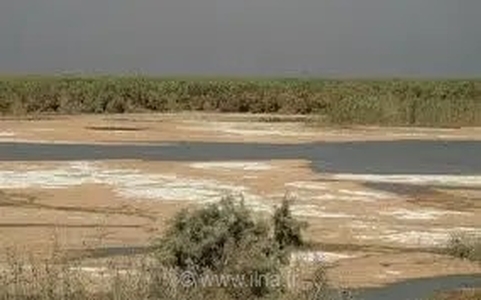 هشدار درباره پیامدهای زیست‌محیطی توسعه فارس/لزوم حفاظت از تالاب‌ها