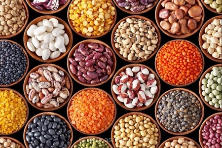 کاهش ۵۰ درصدی قیمت حبوبات؛ لوبیا چیتی نصف قیمت شد