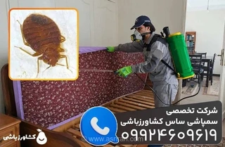 راهکارهای قطعی برای ریشه‌کنی ساس؛ معرفی بهترین شرکت سمپاشی با استفاده از سموم خارجی و ضمانت کتبی