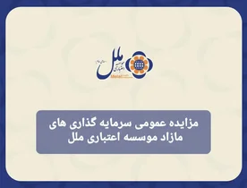 مزایده سهام شرکت‌ها توسط مؤسسه اعتباری ملل