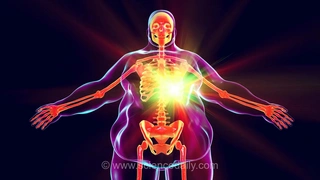 چاقی، خاطره‌ای ماندگار در سلول‌های ایمنی بر جای می‌گذارد