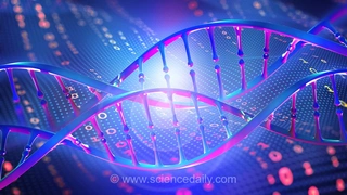 محققان موفق به تبدیل DNA به یک حافظه با مصرف انرژی 100 برابر کمتر شدند