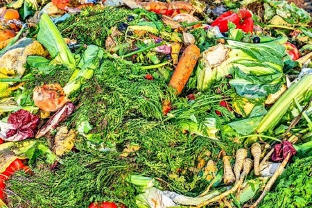 بخش‌های دورریختنی میوه و سبزی، منبعی پنهان از فیبرهای غذایی