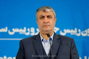 ممنوعیت سفر رئیس سازمان انرژی اتمی ایران به اتریش