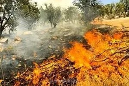 دفن غیراصولی زباله، آتش‌سوزی ۱۰ ساعته در دل جنگل‌های ارمند چهارمحال و بختیاری را رقم زد