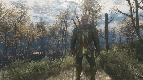 راهنمای یافتن زره گریفین در بازی The Witcher 3