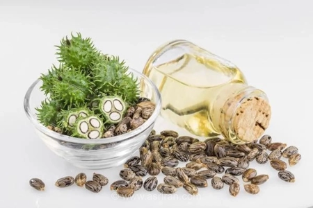 روغن کرچک برای مو؛ فواید و محدودیت‌های استفاده