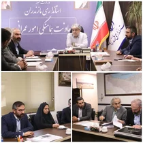 تشکیل کارگروه برای تسریع اجرای پردیس سینمایی ساری