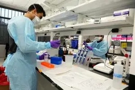 ثبت 18 هزار و 71 مورد آزمایش تشخیصی در دامپزشکی استان مرکزی