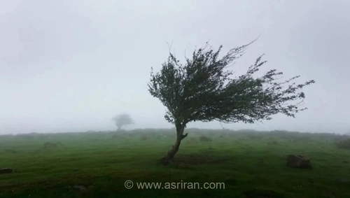هشدار نارنجی هواشناسی برای سه استان؛ احتمال سیلاب و رگبار شدید