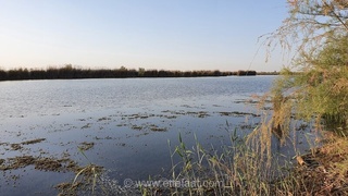 سفر به تالاب بامدژ؛ گنجینه‌ای ناشناخته و تماشایی در قلب جلگه خوزستان که باید دید
