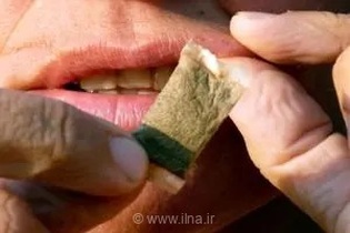 هشدار جدی بهزیستی کاشمر: دسترسی آسان دانش‌آموزان به ماده مخدر ناس و خطر اعتیاد در سنین کودکی