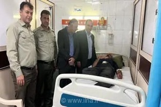 حمله وحشیانه قاچاقچی چوب با تبر به جنگل‌بان چالوسی؛ مأمور منابع طبیعی راهی بیمارستان شد