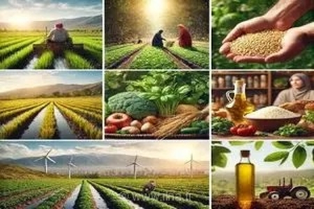 وجود حلقه‌های متعدد واسطه‌ای چالش زنجیره عرضه محصولات کشاورزی / معضل اصلی بازار مصرف گران‌سازی است نه گرانی