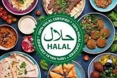 تفاهم‌نامه همکاری بین مرکز تحقیقات حلال ایران و اتحادیه اروپا امضا شد