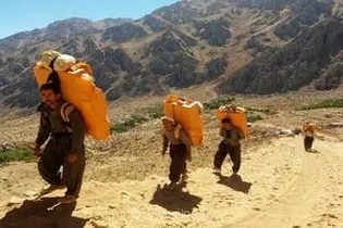 سهم کولبران در مسیر اجرا گم شد/ مرزنشینان نیمی از حق خود را می‌گیرند
