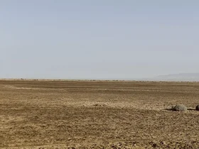 تشدید کانون‌های گردوغبار در پی خشک شدن تالاب بندعلیخان