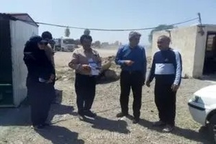 نظارت ویژه جهاد کشاورزی نمین بر روند خرید تضمینی گندم و رفع موانع فروش محصول در روستای دولت‌آباد