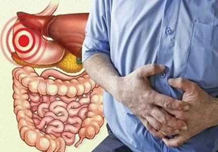 ۱۱ خوراکی برای بهبود سلامت میکروبی روده