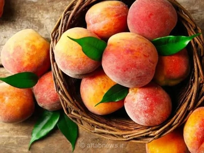 هلو و قند خون: آیا این میوه برای دیابتی‌ها مناسب است؟