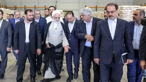 اژه‌ای: ناهماهنگی‌ها مانع ترخیص کالای اساسی نشود