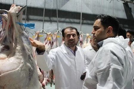 ساخت دو کشتارگاه جدید برای تقویت زنجیره تامین گوشت در آذربایجان‌شرقی
